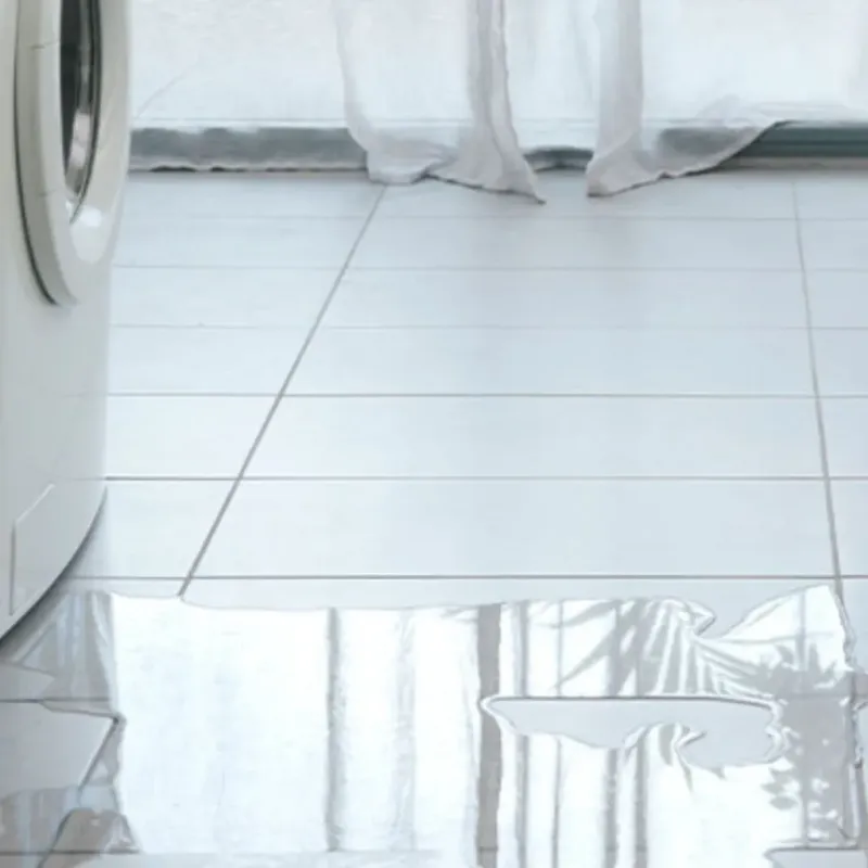 Appliance Leak Cleanup in Edgecomb, ME