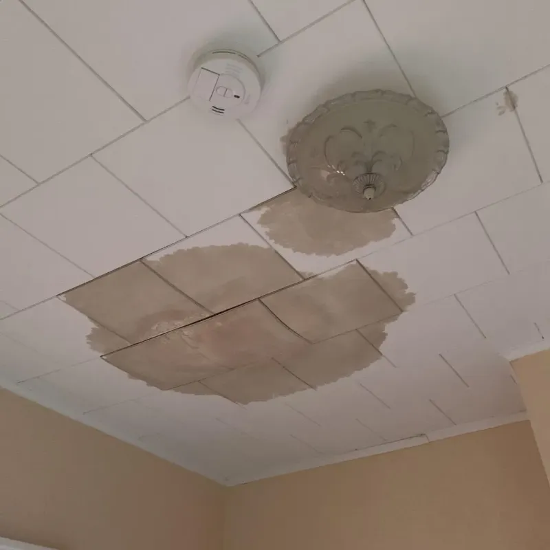 Ceiling Water Damage Repair in Edgecomb, ME