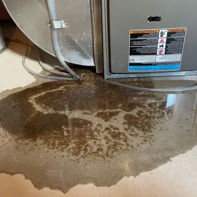 Pipe Burst and Leak Restoration in Edgecomb, ME