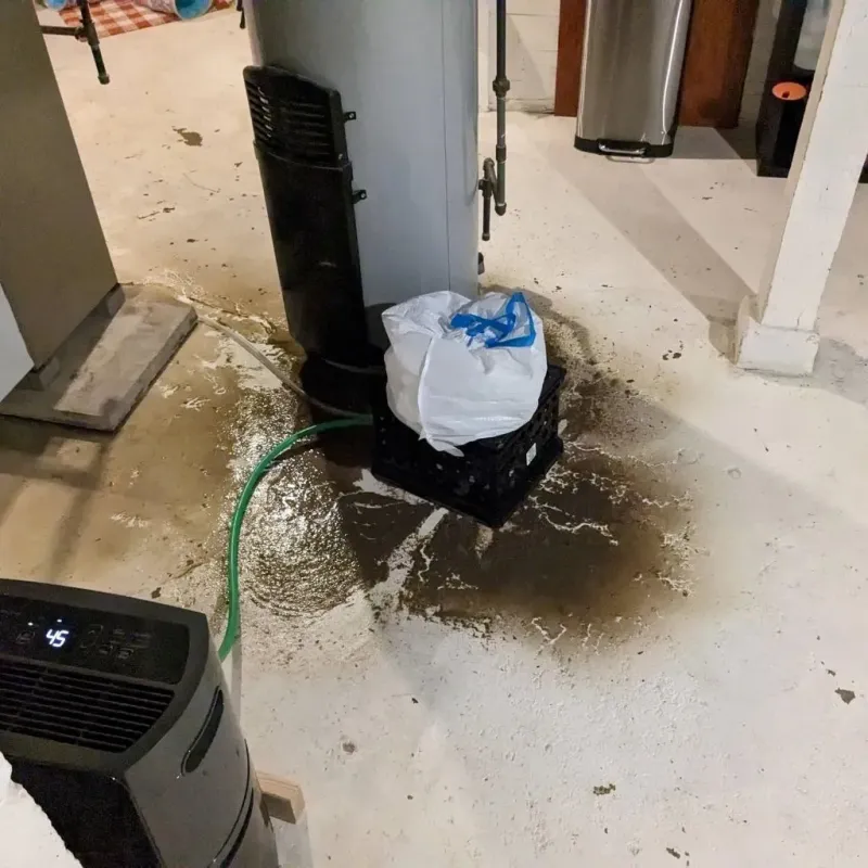 Sewage Backup Cleanup Service in Edgecomb, ME